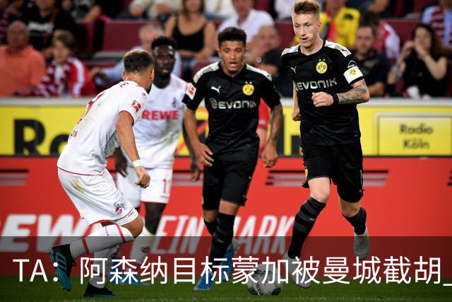 TA：阿森纳目标蒙加被曼城截胡 厄德高没与其他球队达协议